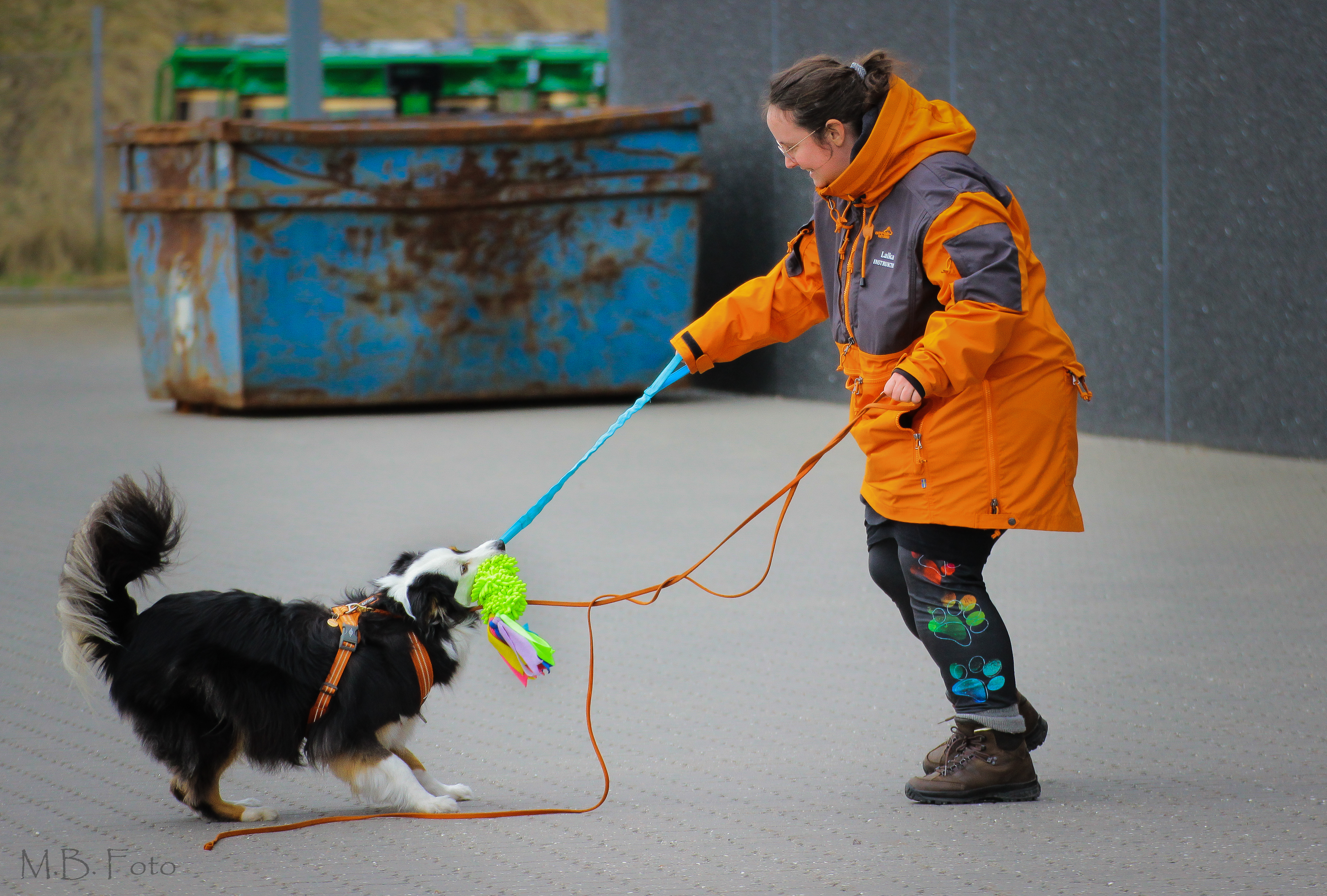 Meget nuttet hund